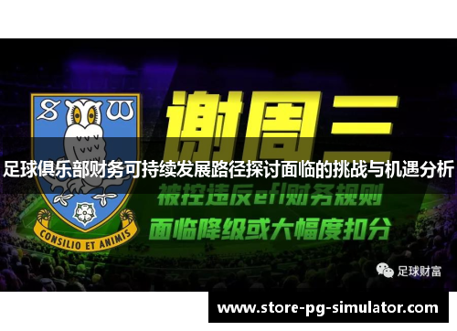 足球俱乐部财务可持续发展路径探讨面临的挑战与机遇分析