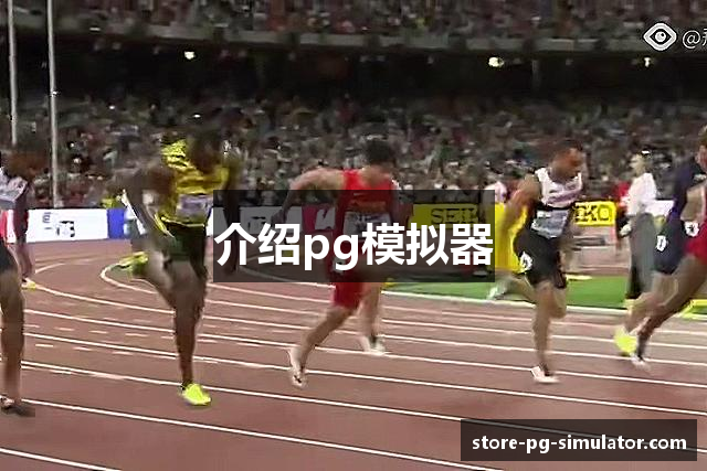 介绍pg模拟器